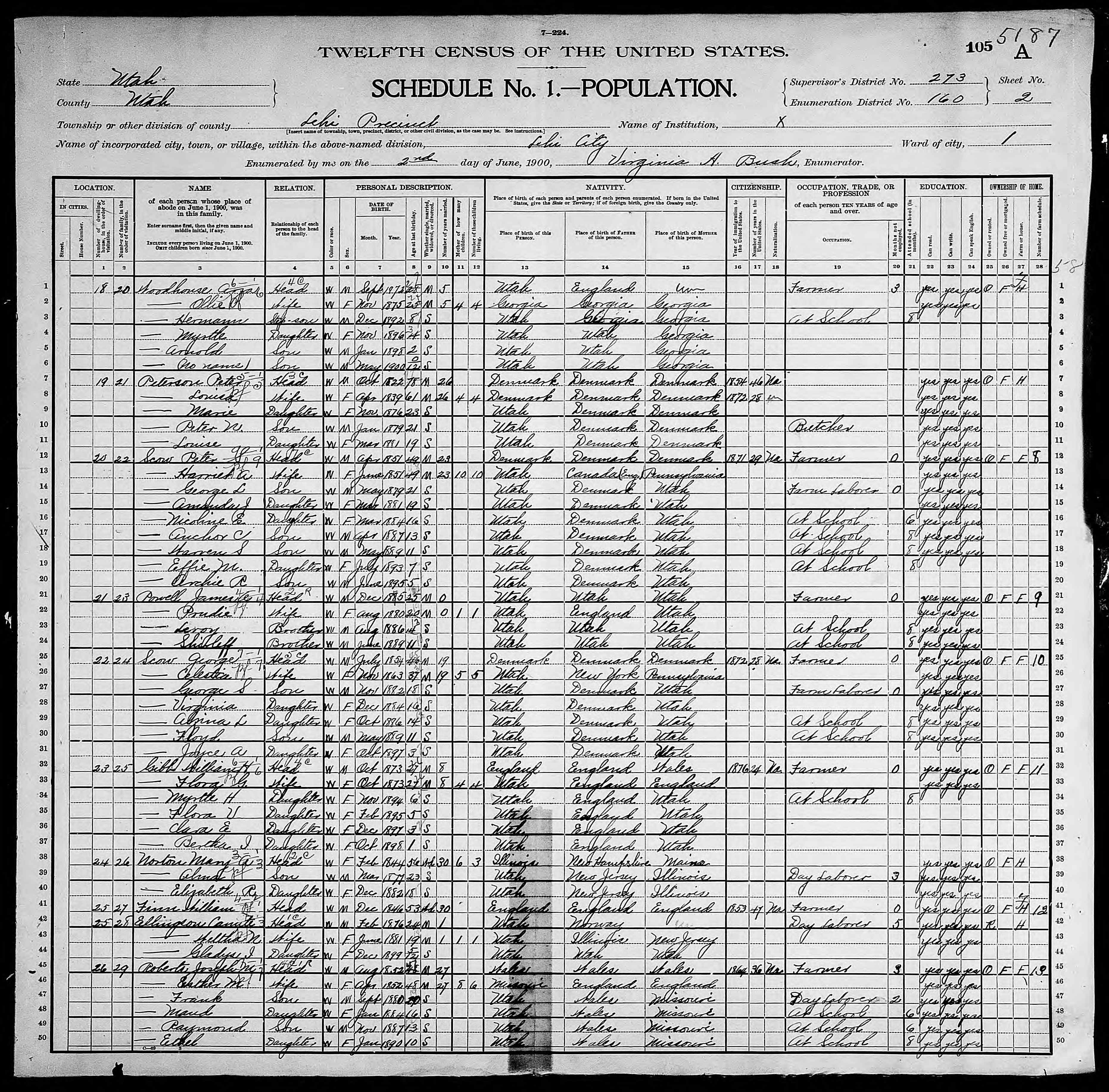 1900 United States Federal Census - Harriet A Losee